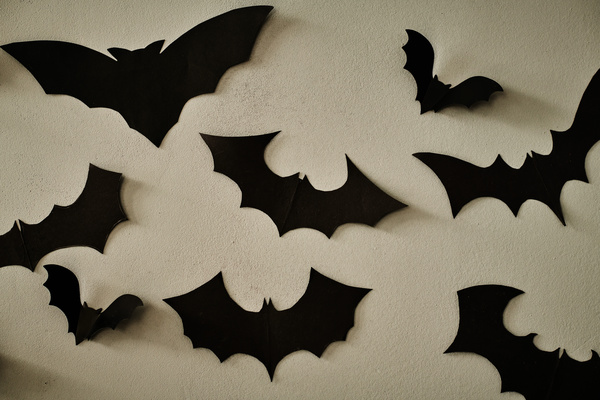 Black Bats Decorate Wall